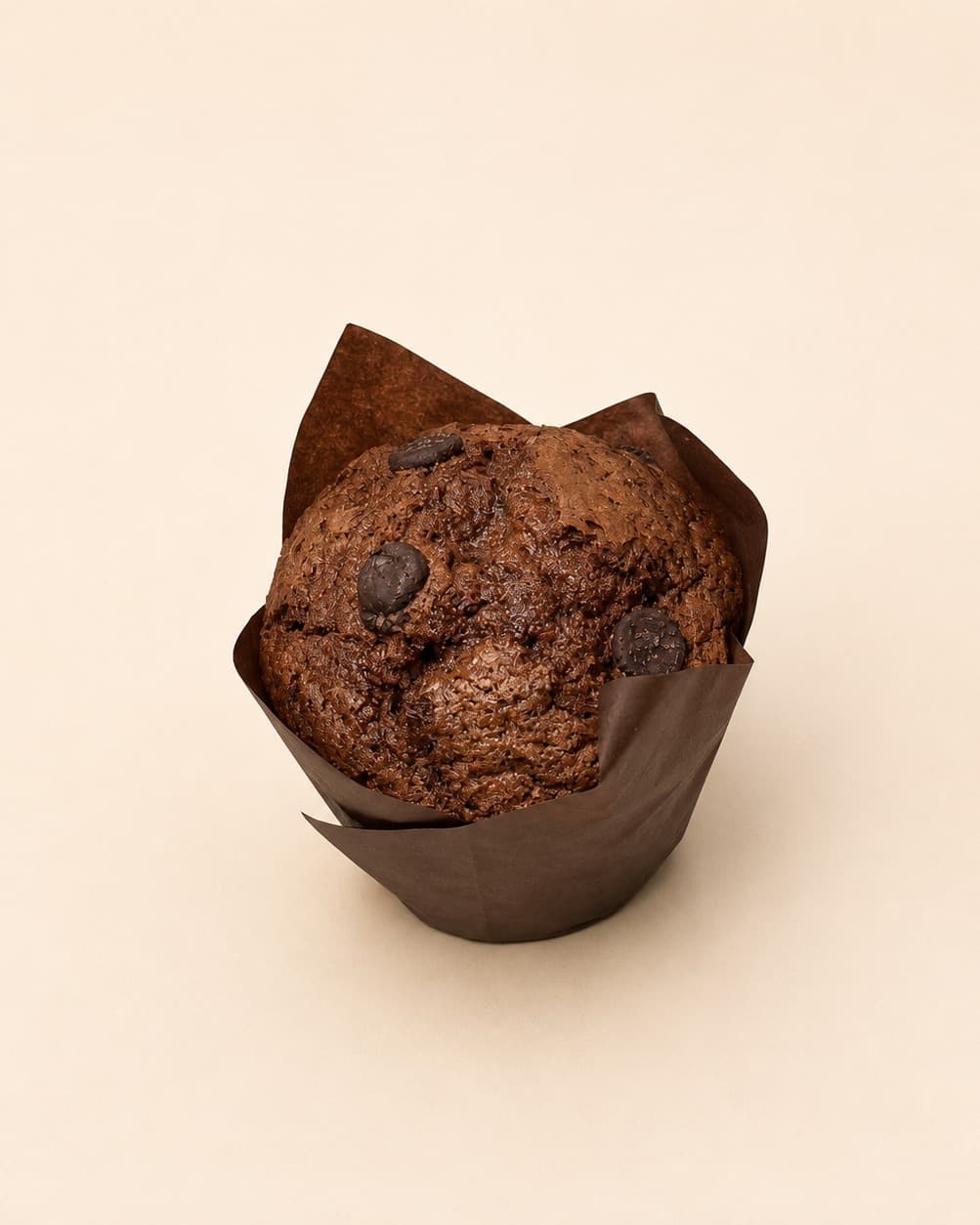 Chocolate Muffin